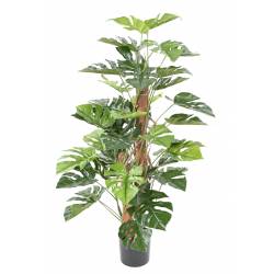 Philodendron artificiel TUTEUR COCO