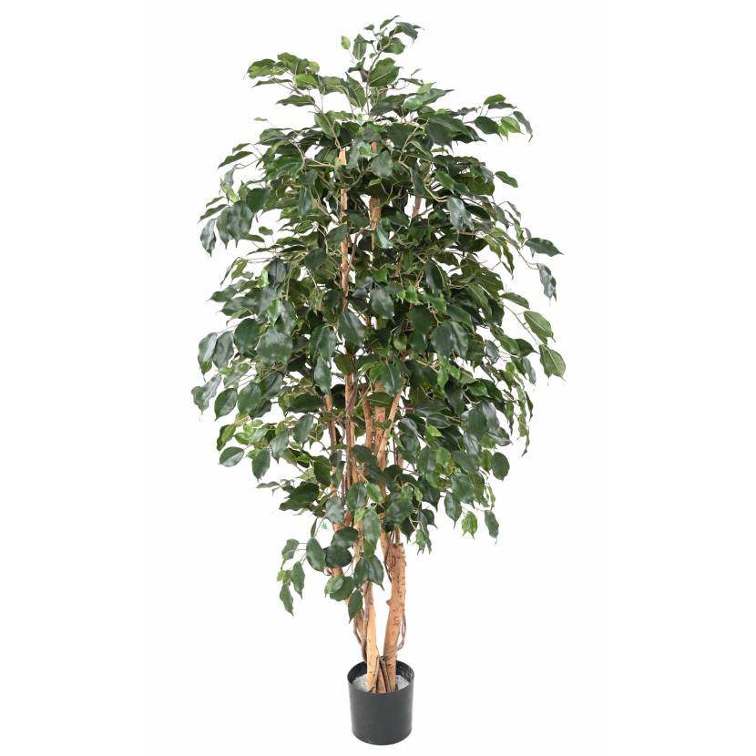 Ficus artificial EXOTICA