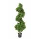 Boxwood artificial SPIRAL NEW
