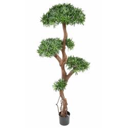 Podocarpus artificiel TREE