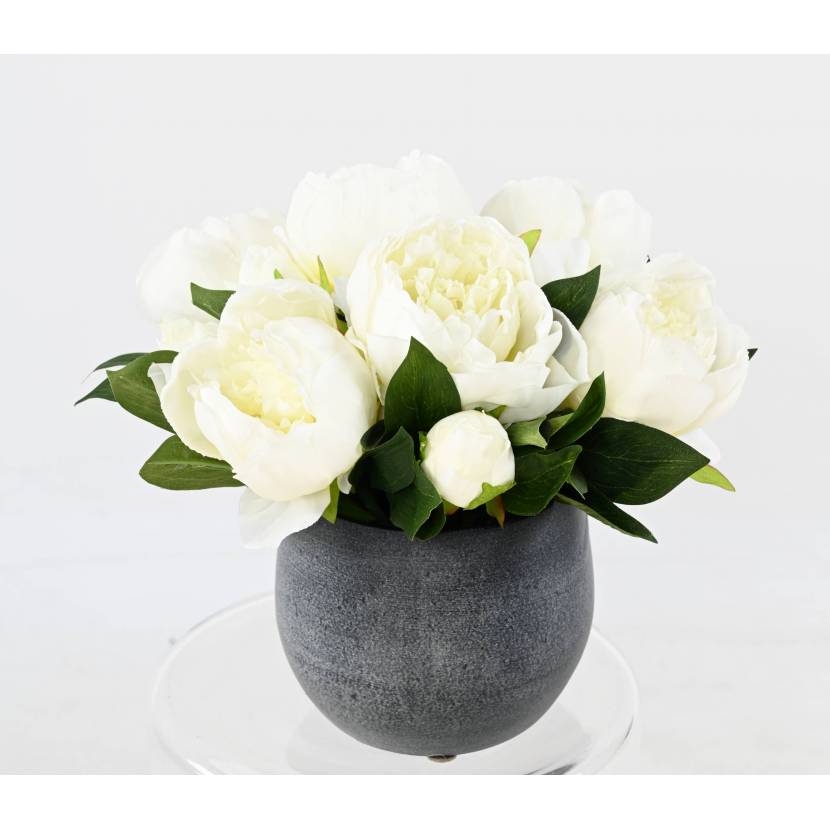 COMPOSITION PEONIES WHITE