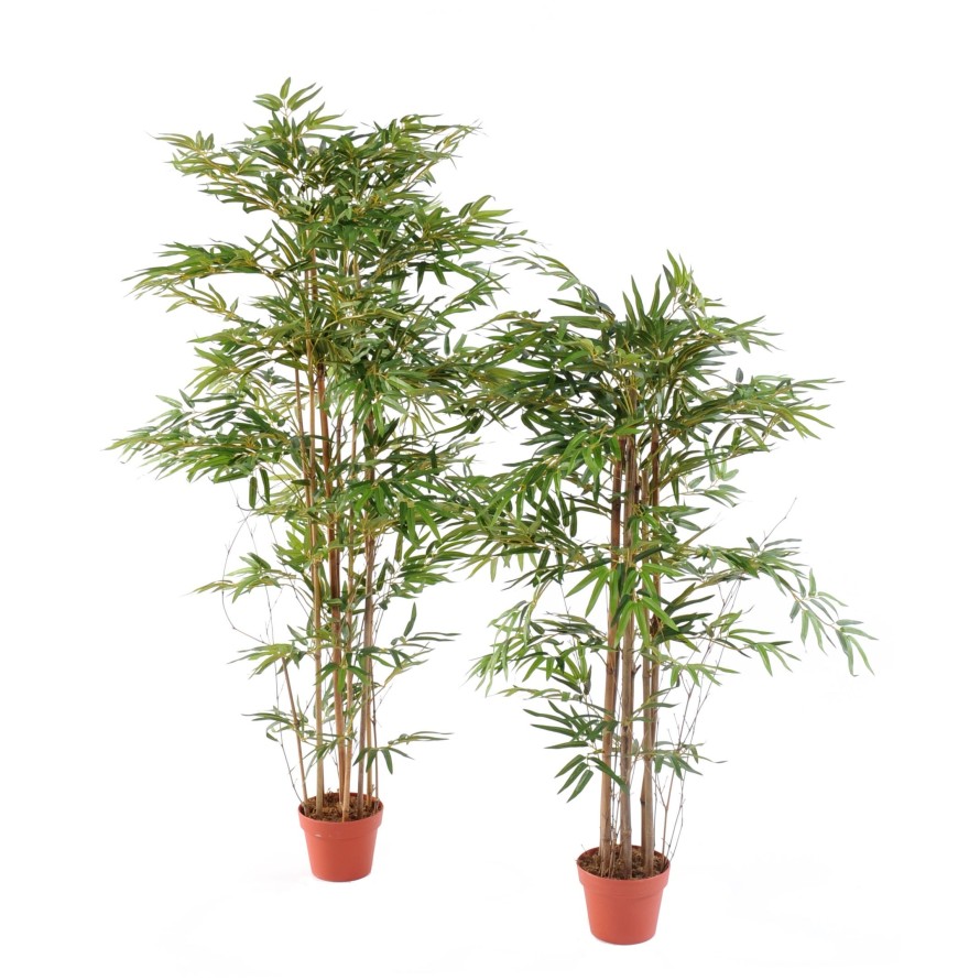 BAMBÚ ORIENTAL ECO 2