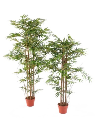 BAMBÚ ORIENTAL ECO 2