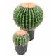 Artificial Cactus ECHINO