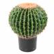 Cactus artificiel ECHINO
