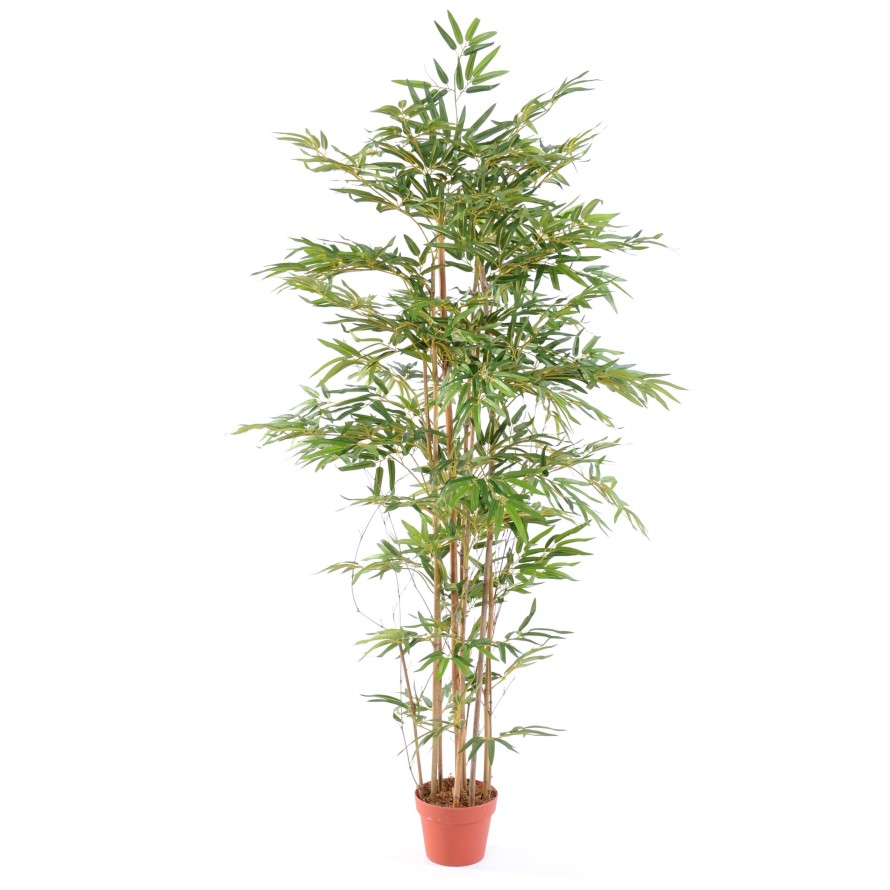 BAMBÚ ORIENTAL ECO 2