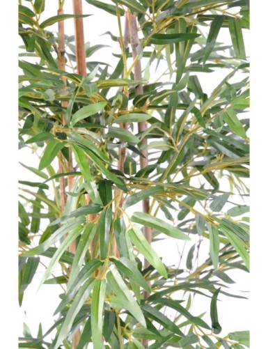 BAMBÚ ORIENTAL ECO 2