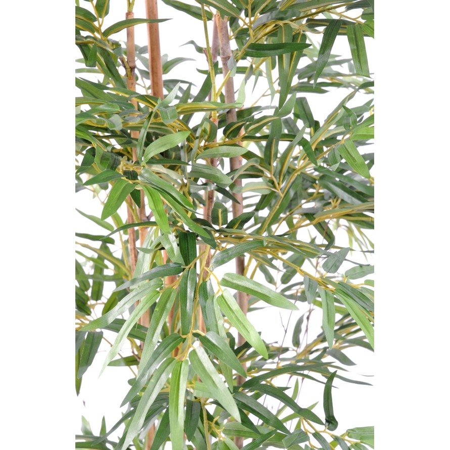 BAMBÚ ORIENTAL ECO 2