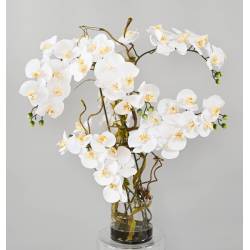 COMPOSITION of Artificial PHALAENOPSIS