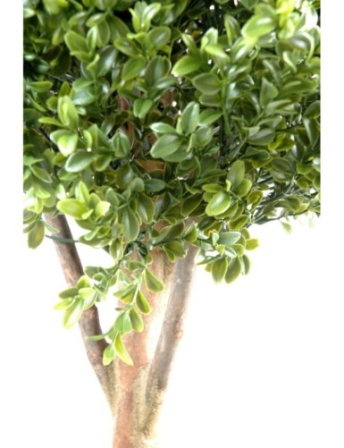 BOJ TALLO DOBLE ESFERA NEW