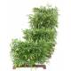 Artificial BAMBOO NEW HEDGE UV BASE 95
