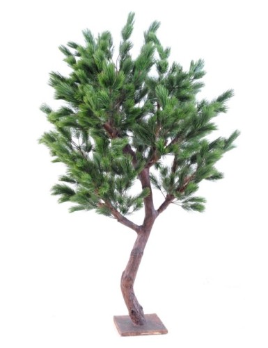 PINO Austriaco LARGE