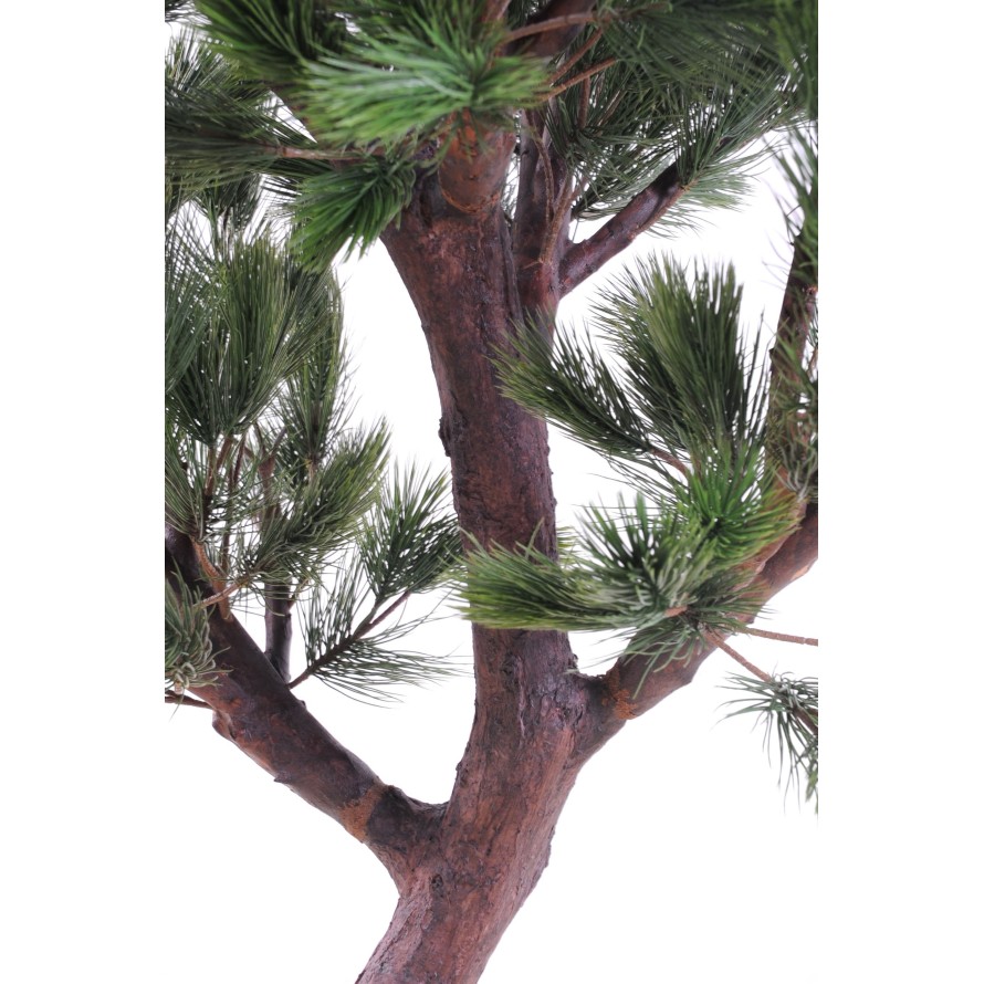 KIEFER Österreich GROSS