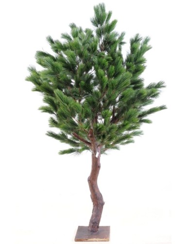 KIEFER Österreich GROSS