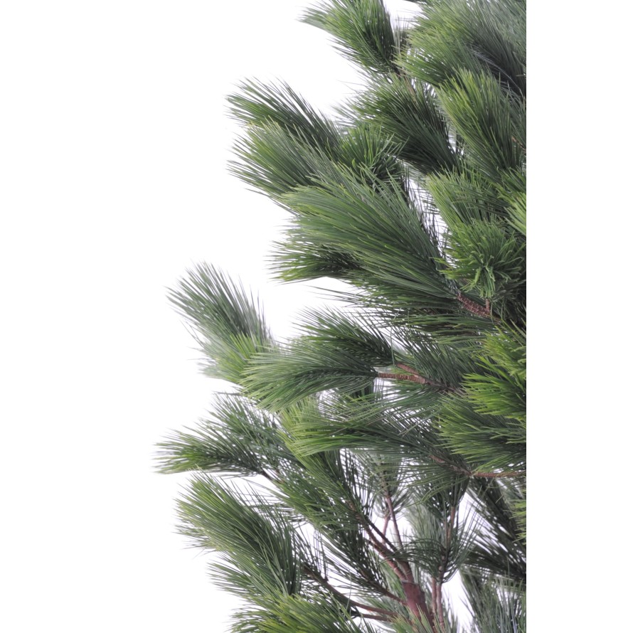 KIEFER Österreich GROSS