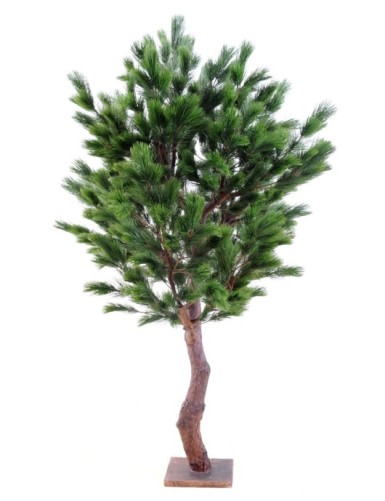 KIEFER Österreich GROSS