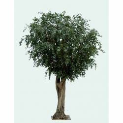 FICUS Artificial GIANT TREE