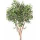 OLIVE TREE TOPPING TREE