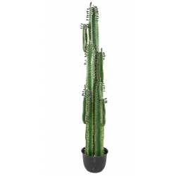 Artificial Cactus FINGER