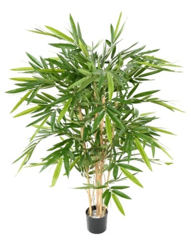 BAMBÚ NEW RESISTENTE A LOS...