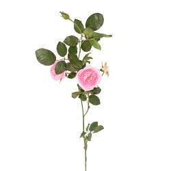 ROSE Artificielle ANGLAISE