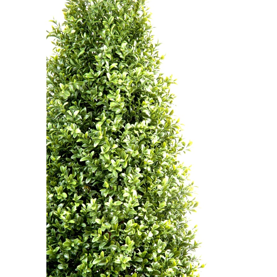 BUCHSBAUM FORMSCHNITT NEW