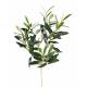 Olivie tree artificial SPRAY-free fruit