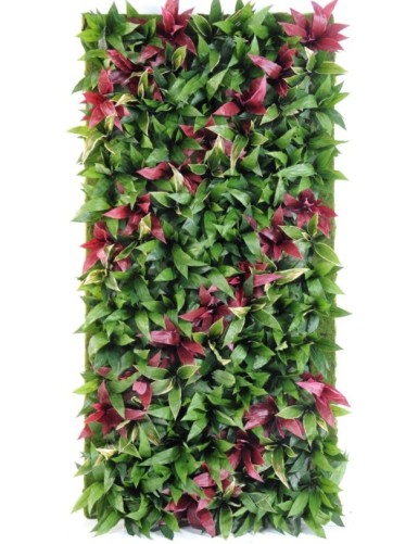 PFLANZENWAND CORDYLINE