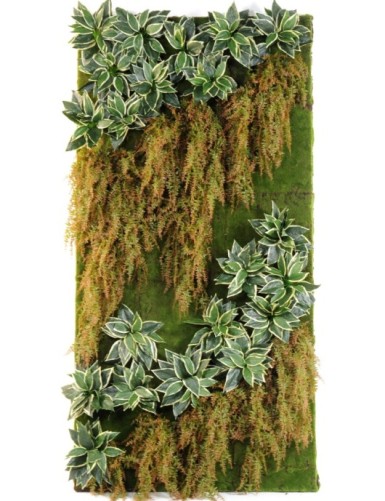 JARDÍN VERTICAL CON PLANTAS...