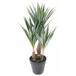 Artificial AGAVE SISAL 55