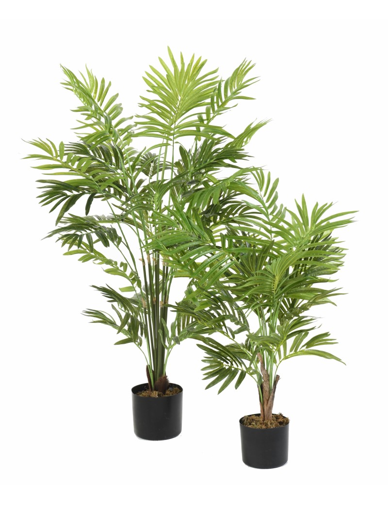 PALMERA DE INTERIOR ARBUSTO