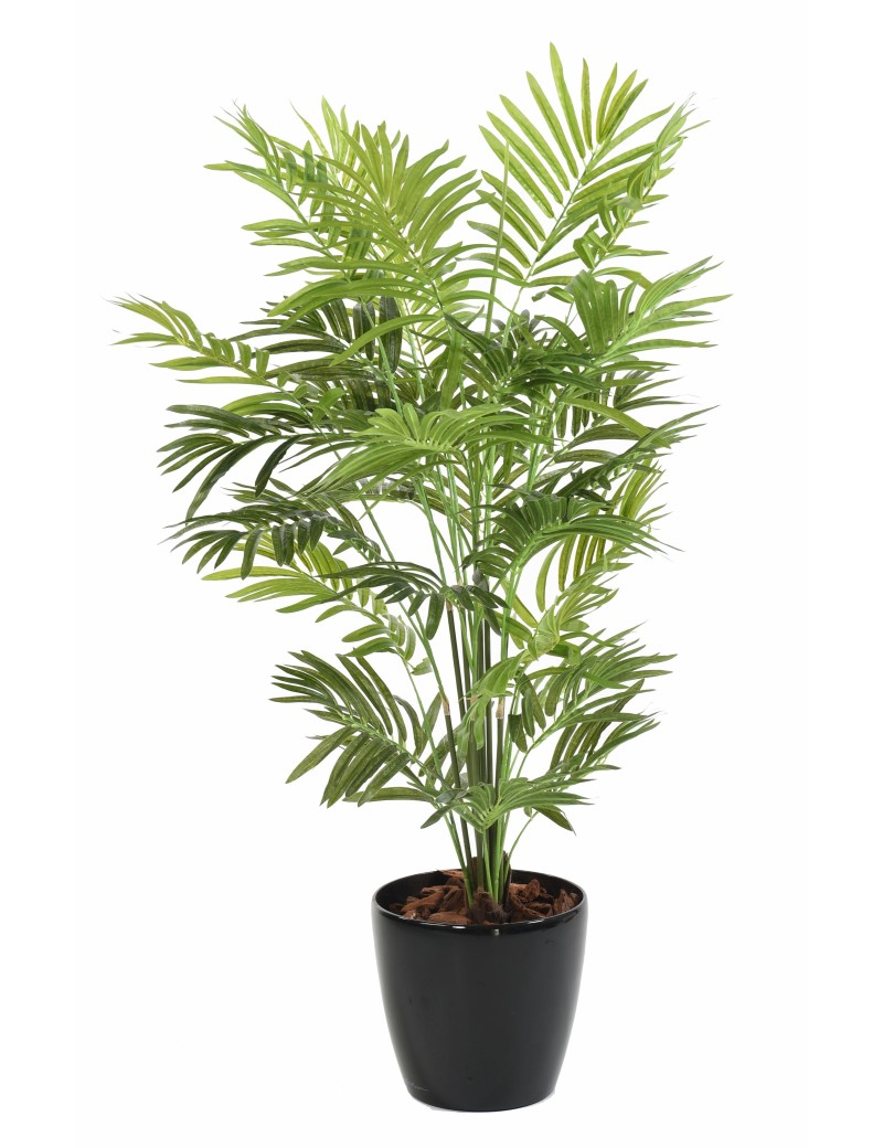 PALMERA DE INTERIOR ARBUSTO