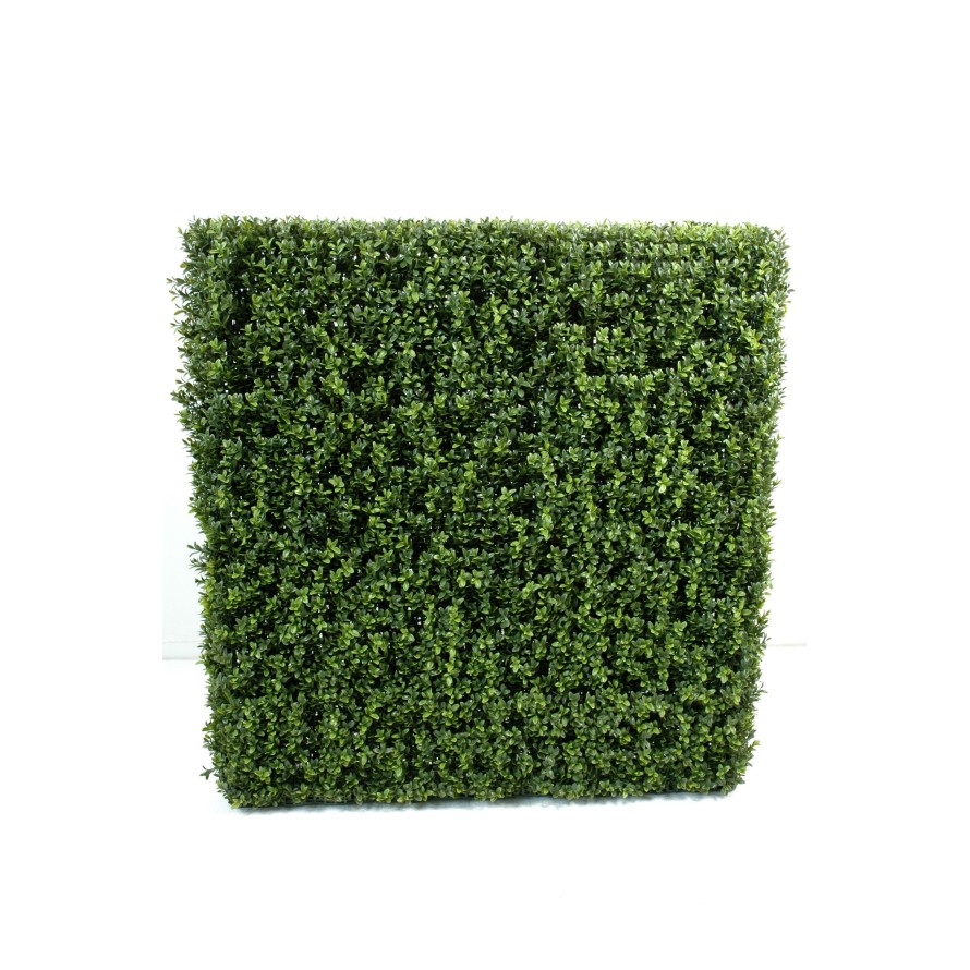 BUCHSBAUM HECKE NEW METALLSTRUKTUR