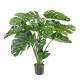 Philodendron artificial GEANT *18