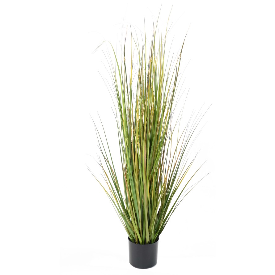 ONION GRASS BAMBOO yellow