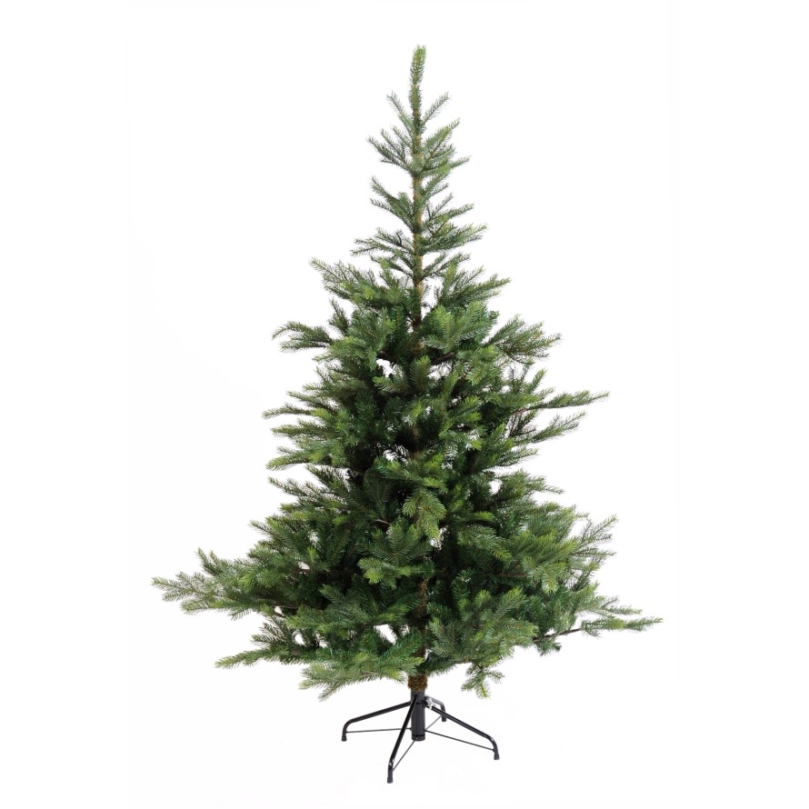 TANNE GRANDIS (Weihnachtsbaum)