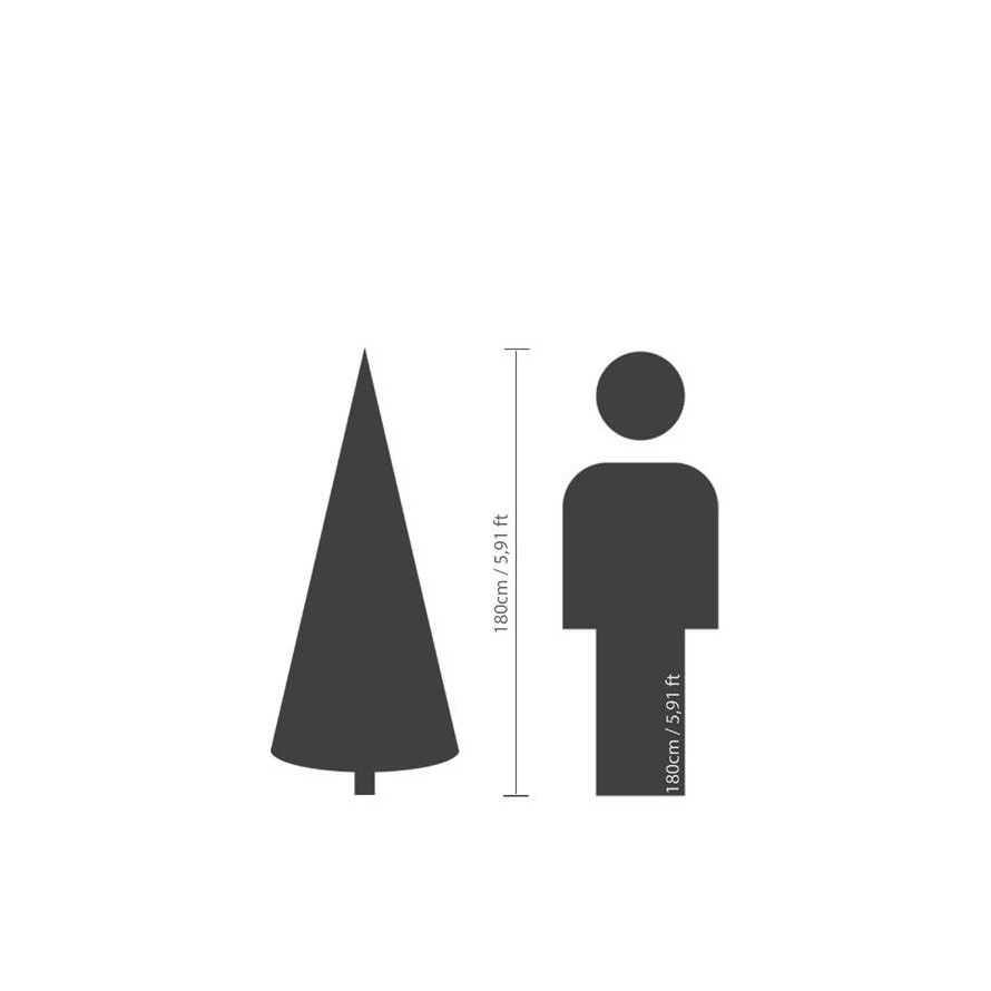 TANNE GRANDIS (Weihnachtsbaum)