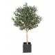 Olive tree artificial large head