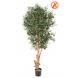 Artificial KNOTTY TRUNK OLIVE TREE 170 FR - Fire Resistant
