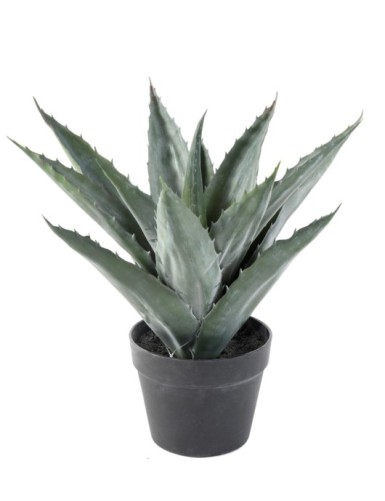 Künstliche AGAVE