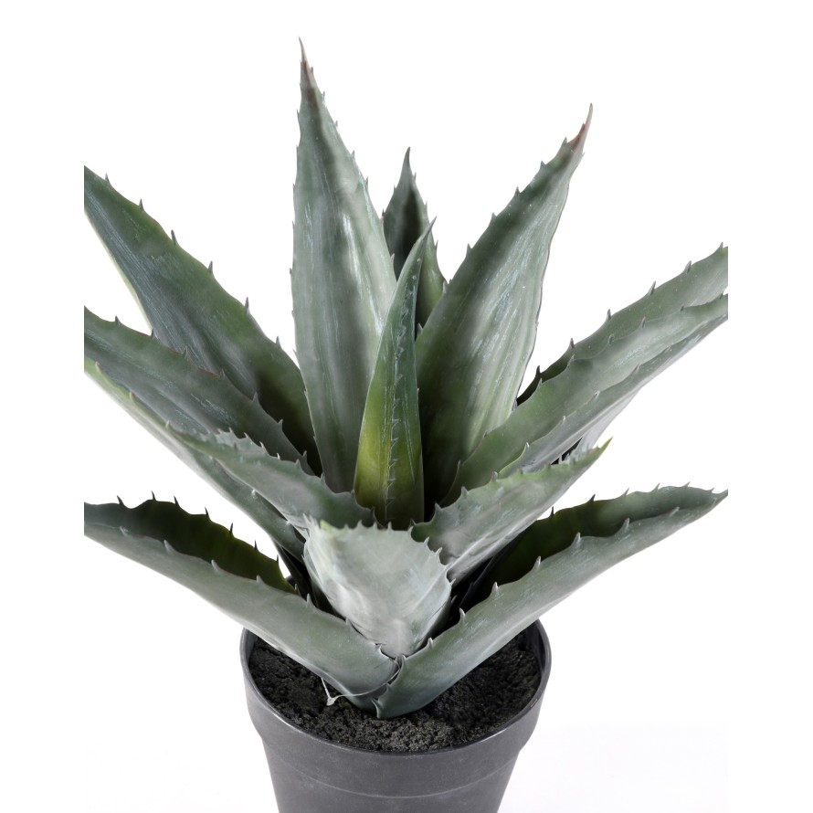 AGAVE artificial