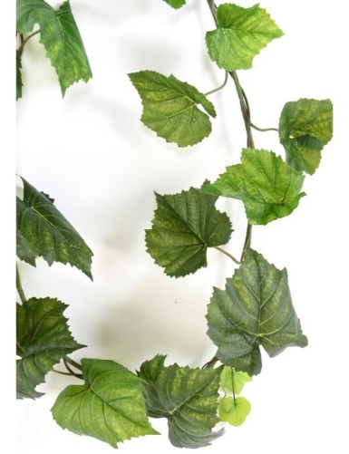 VINE (VIRGINIA CREEPER) GARLAND