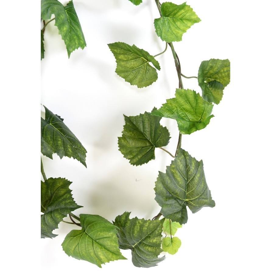 VINE (VIRGINIA CREEPER) GARLAND