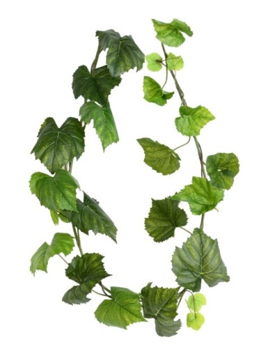 VID VIRGEN GUIRNALDA