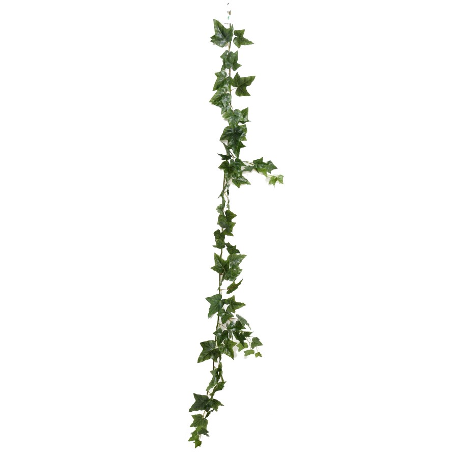 IVY (ENGLISH) GARLAND *68