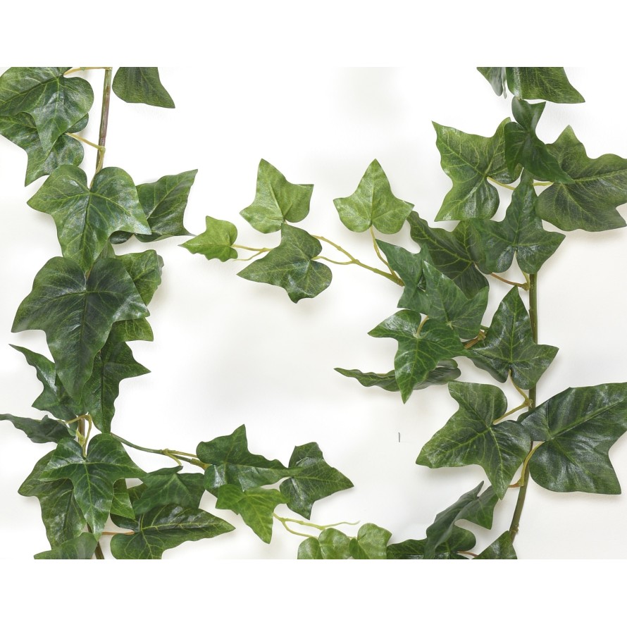 IVY (ENGLISH) GARLAND *68