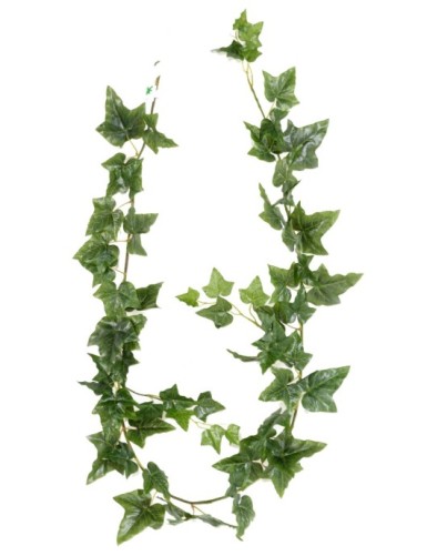 IVY (ENGLISH) GARLAND *68