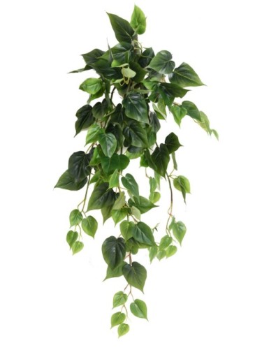 PHILODENDRON HÄNGEKUNSTPFLANZE