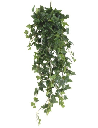 HIEDRA INGLESA COLGANTE