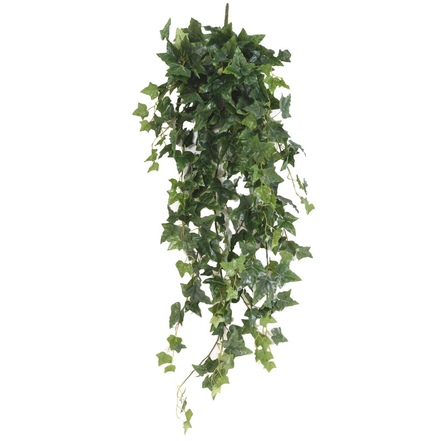 EFEU ENGLISCH HÄNGEKUNSTPFLANZE